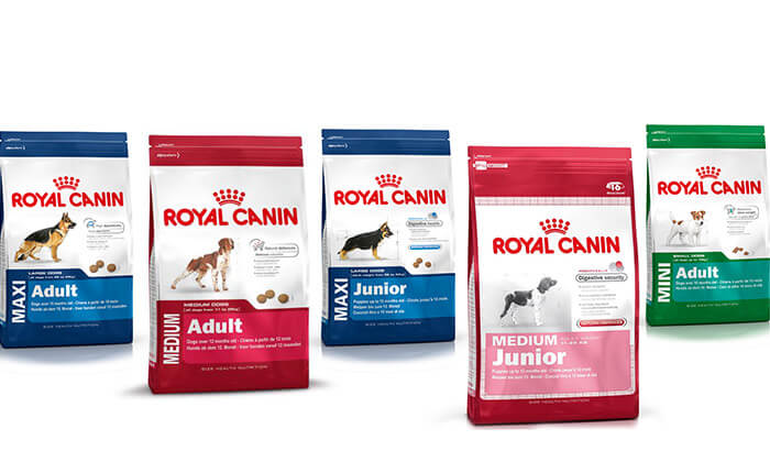 3 אוכל לכלב ROYAL CANIN - משלוח חינם!