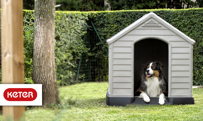 2 כתר: מלונה לכלב דגם DOG HOUSE