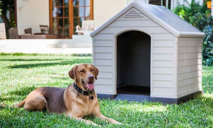 3 כתר: מלונה לכלב דגם DOG HOUSE