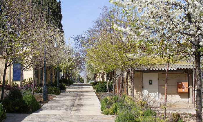 11 חופשה בצפון הירוק: שבת-ראשון במלון גלעדי לזוג - כולל שייט קיאקים