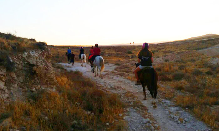 4 רכיבה על סוסים - חוות מדבר יהודה, כפר אדומים