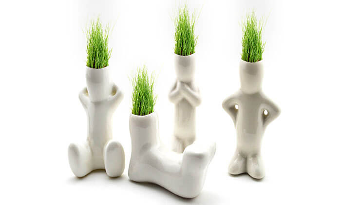 3 ראש דשא או ערכה להכנת צמחי תבלין