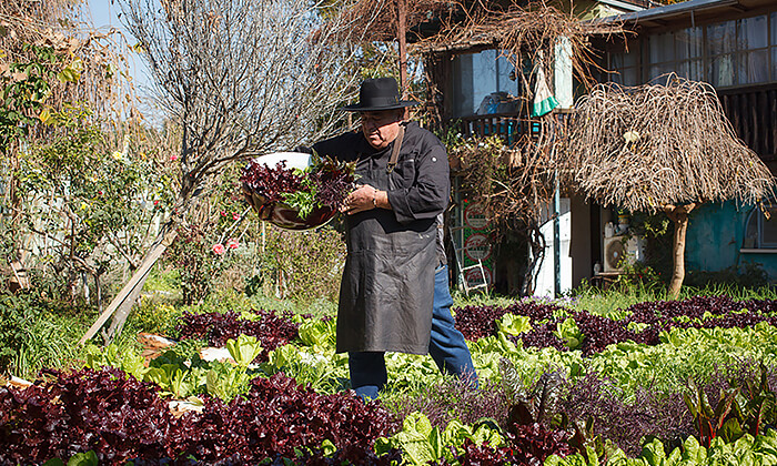 10 דיל חגיגת קיץ: ארוחה יוונית במסעדת מקום בלב, רעננה 