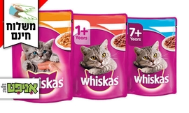 מארז מעדני Whiskas לחתולים