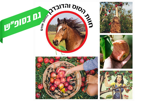 3 לזמן מוגבל: קטיף תפוחים ופירות יער בחוות הסוס והדובדבן, מושב אודם