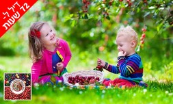 קטיף דובדבנים ופירות יער בגולן