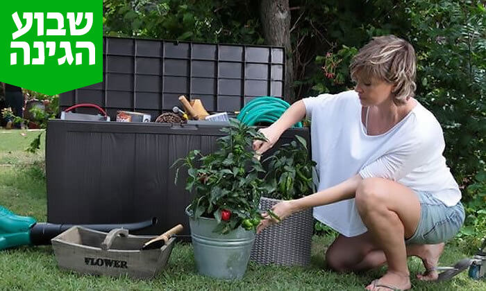 5 כתר: ארגז אחסון דגם שרווד