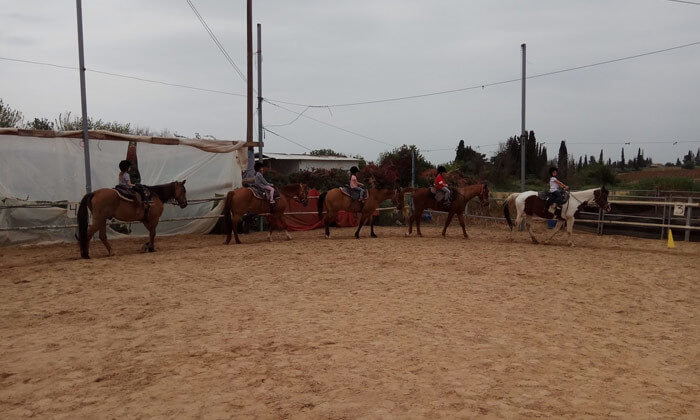 4 שיעורי רכיבה על סוסים בחווה של שון, גני יוחנן