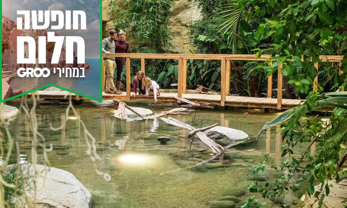 16 חופשת קיץ מלאת חוויות לכל המשפחה: 7 לילות בכפר נופש בגרמניה עם פארק מים ענק וטיסות אל על ישירות