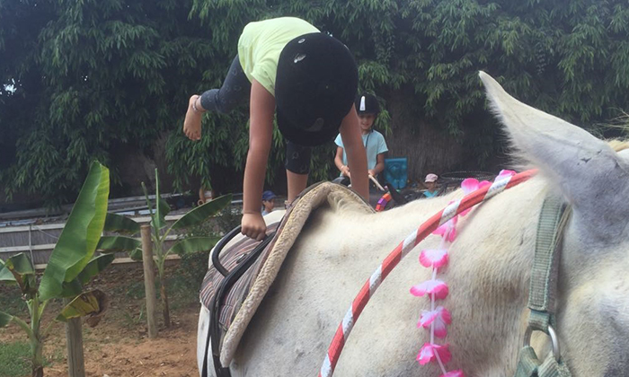 10 קייטנת חנוכה: רכיבה על סוסים בחווה של לאהנר, בני ציון