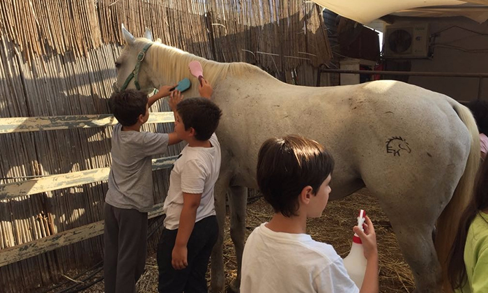 5 קייטנת חנוכה: רכיבה על סוסים בחווה של לאהנר, בני ציון