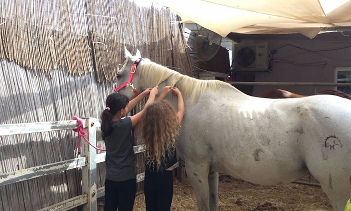 12 קייטנת חנוכה: רכיבה על סוסים בחווה של לאהנר, בני ציון