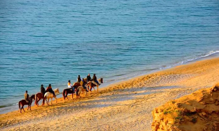 4 טיול רכיבה על סוסים לאורך חוף דור