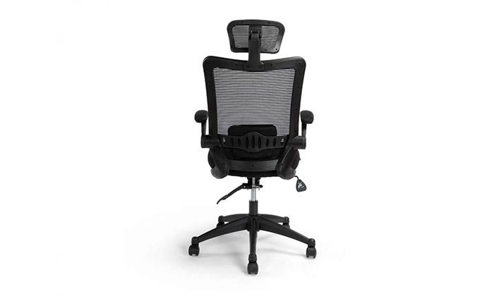 6  ד"ר גב: כיסא אורתופדי SPARK