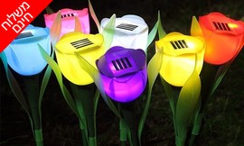 סט 10 מנורות טוליפ סולאריות