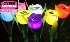 סט 10 מנורות טוליפ סולאריות