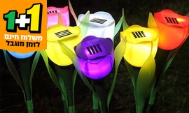 סט 10 מנורות טוליפ סולאריות