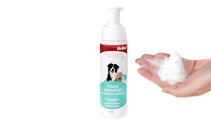 4 אניפט: שמפו לכלבים ולחתולים ללא שטיפה Bioline 