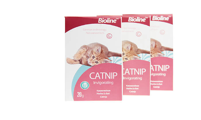 3 3 אריזות קטניפ לחתולים Bioline