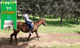 טיול רכיבה על סוסים
