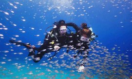 צלילת הכרות-מועדון Ahla Diving