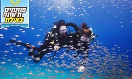 צלילת הכרות-מועדון Ahla Diving