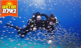 צלילת הכרות-מועדון Ahla Diving