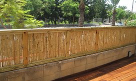 גדר במבוק AUSTRALIA GARDEN
