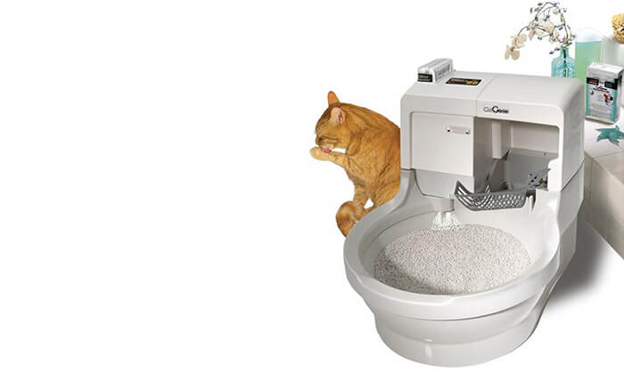 3 שירותים אוטומטיים לחתול CatGenie - משלוח חינם