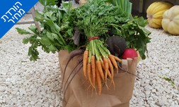 קטיף ירקות ופינת חי 