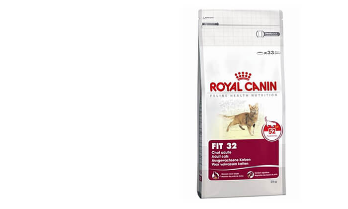 3 אניפט: זוג שקי מזון יבש 4 ק"ג לחתולים רויאל קנין Royal Canin