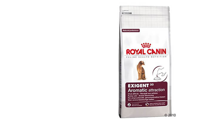 5 אניפט: זוג שקי מזון יבש 4 ק"ג לחתולים רויאל קנין Royal Canin