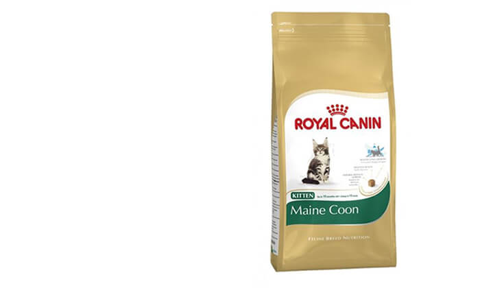 11 אניפט: זוג שקי מזון יבש 4 ק"ג לחתולים רויאל קנין Royal Canin