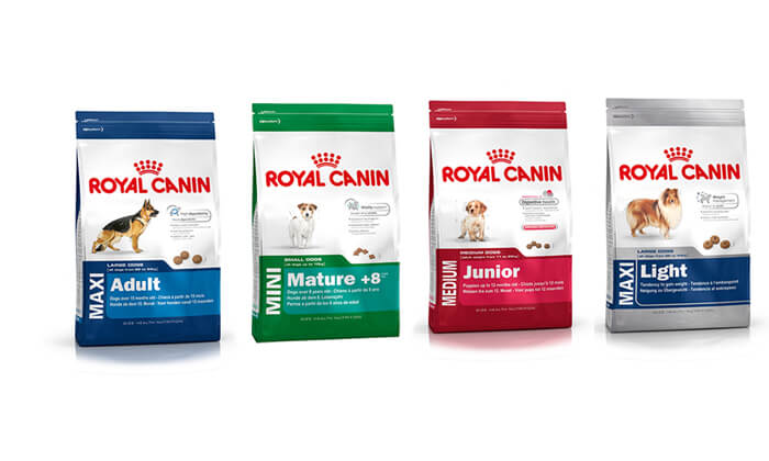 12 שק אוכל לכלב Royal Canin