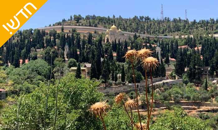 13 סיורים בירושלים עם 'ירושלים מחוץ לקופסה'