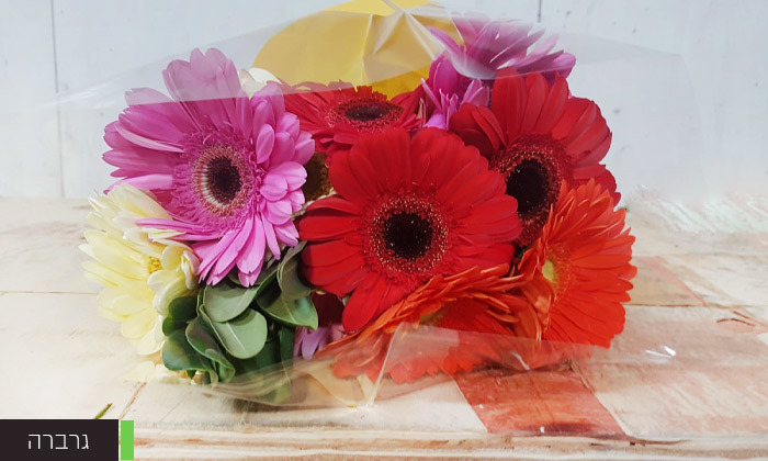 6 בלעדי ללקוחות בנק הפועלים: זר פרחים כולל משלוח מתנה למחזיקי קוד ההטבה - ההטבה בשווי 49 ₪