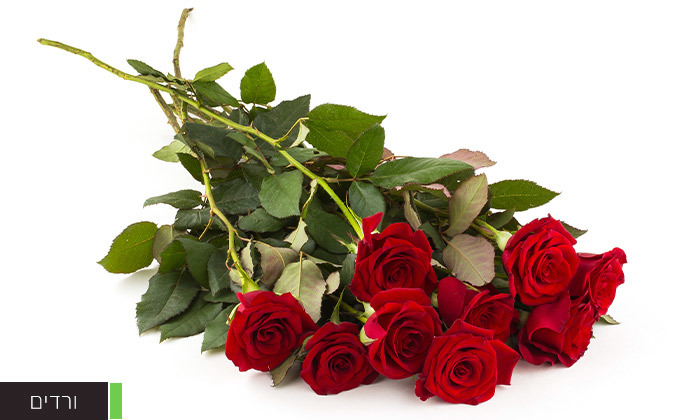 5 בלעדי ללקוחות בנק הפועלים: זר פרחים כולל משלוח מתנה למחזיקי קוד ההטבה - ההטבה בשווי 49 ₪