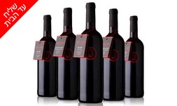 מארז יינות Bazak Winery במשלוח