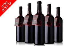מארז יינות Bazak Winery במשלוח