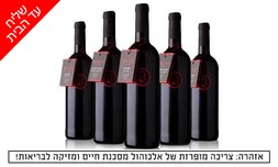 מארז יינות Bazak Winery במשלוח