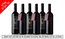 6 יינות Bazak Winery במשלוח