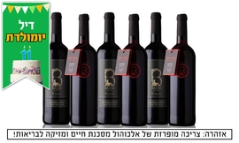 6 יינות Bazak Winery במשלוח