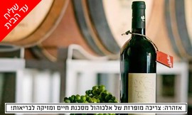 מארז 6 יינות לבחירה מיקב כהנוב