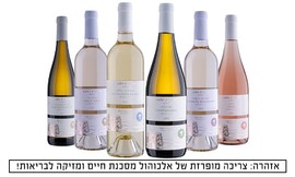 6 יינות במשלוח מיקב גוש עציון
