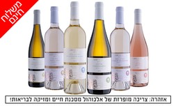6 יינות במשלוח מיקב גוש עציון