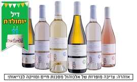 6 יינות במשלוח מיקב גוש עציון