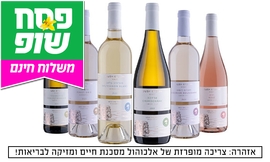 6 יינות במשלוח מיקב גוש עציון