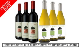 6 בקבוקי יין כשרים במשלוח חינם