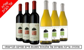6 בקבוקי יין כשרים במשלוח חינם
