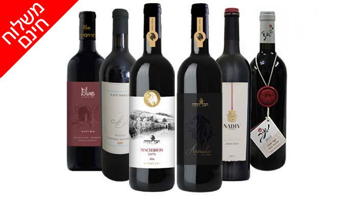 9 מארז 6 יינות ישראלים כשרים פרמיום במשלוח חינם מאנגל - יין של מותגים